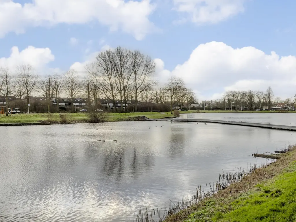 Kokardebloem 83, PAPENDRECHT