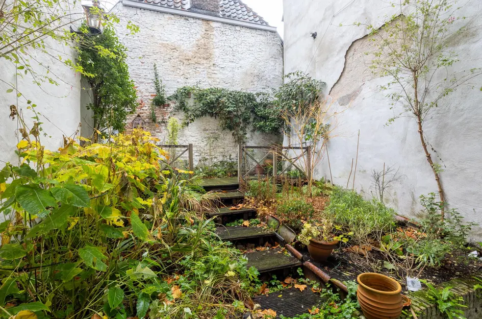 Wijnstraat 85
