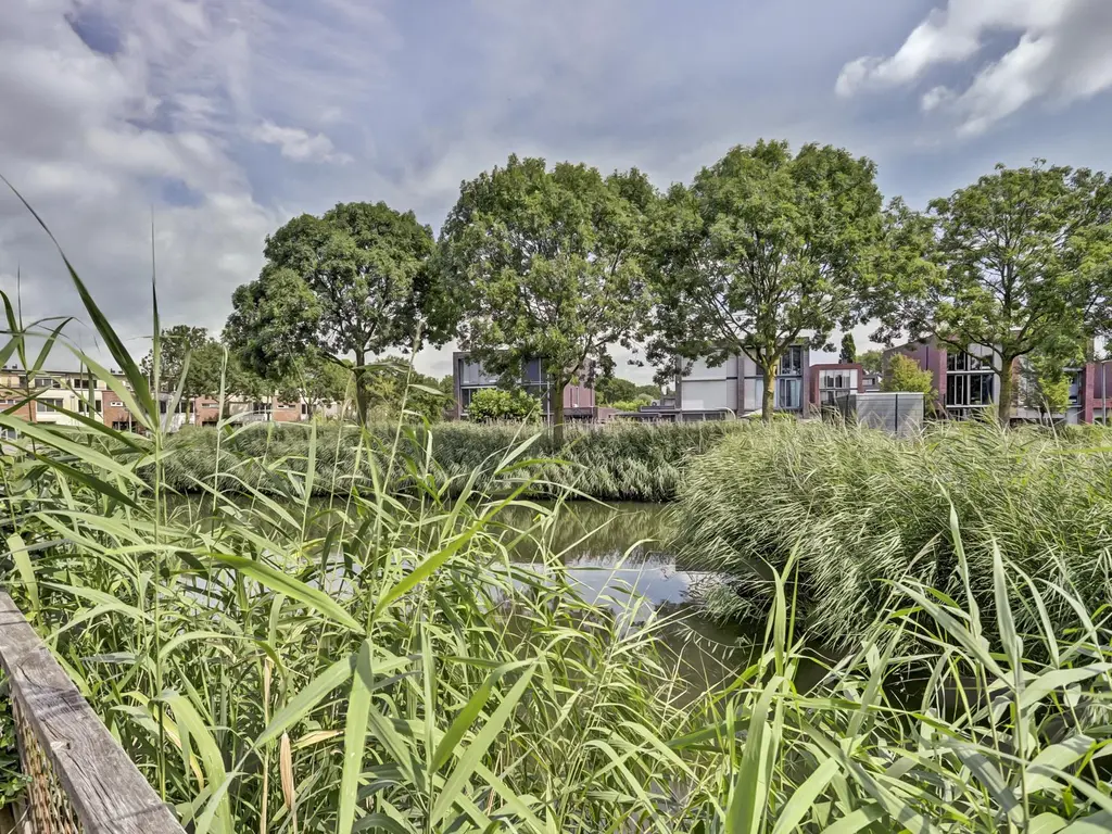 Chico Mendesring 177, DORDRECHT
