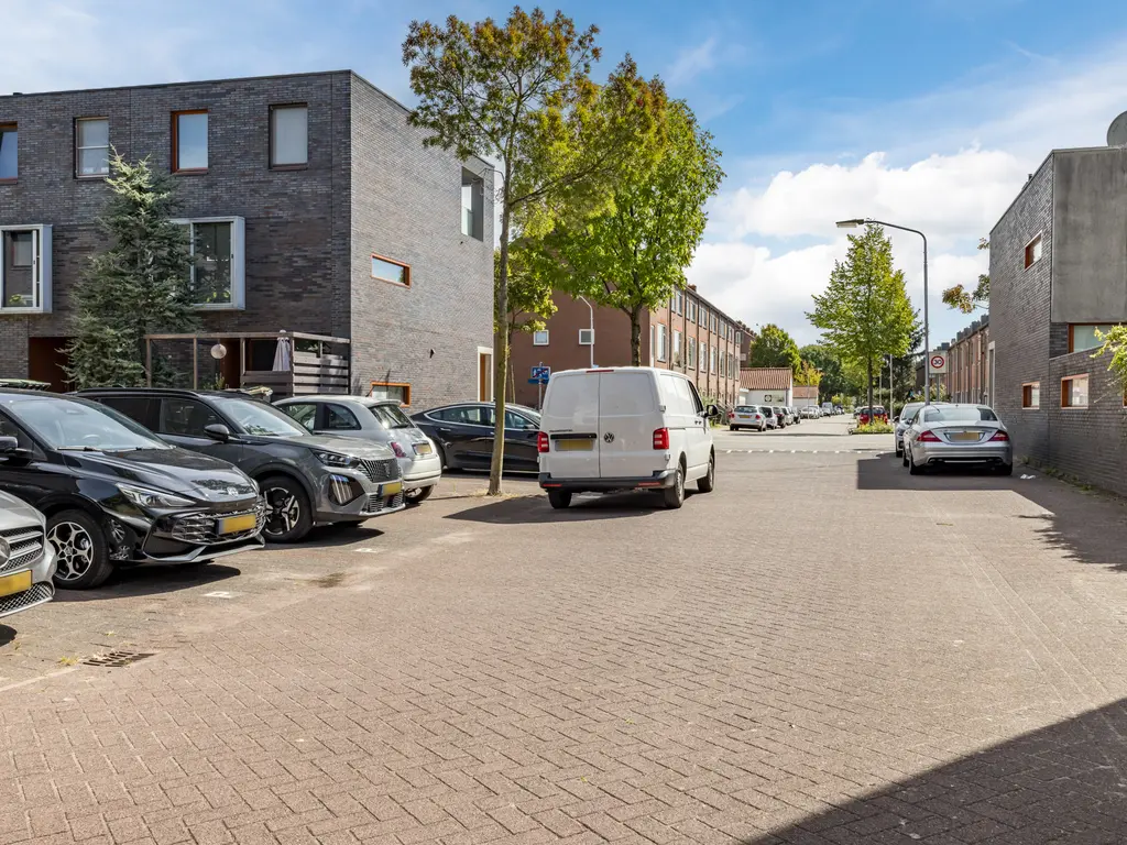 Gele krokus 8, PAPENDRECHT