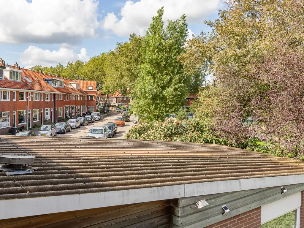 Hanenpad 90 , ZAANDAM