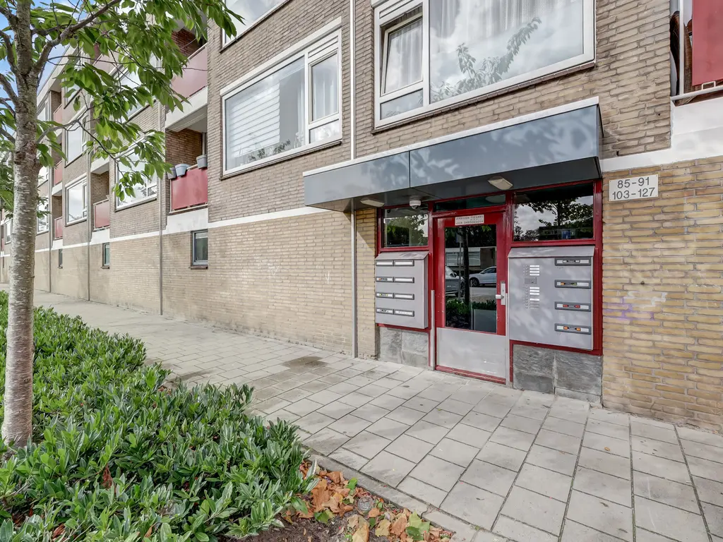 Groen van Prinstererweg 125, DORDRECHT