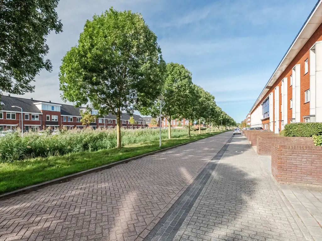 Alver 104, PAPENDRECHT