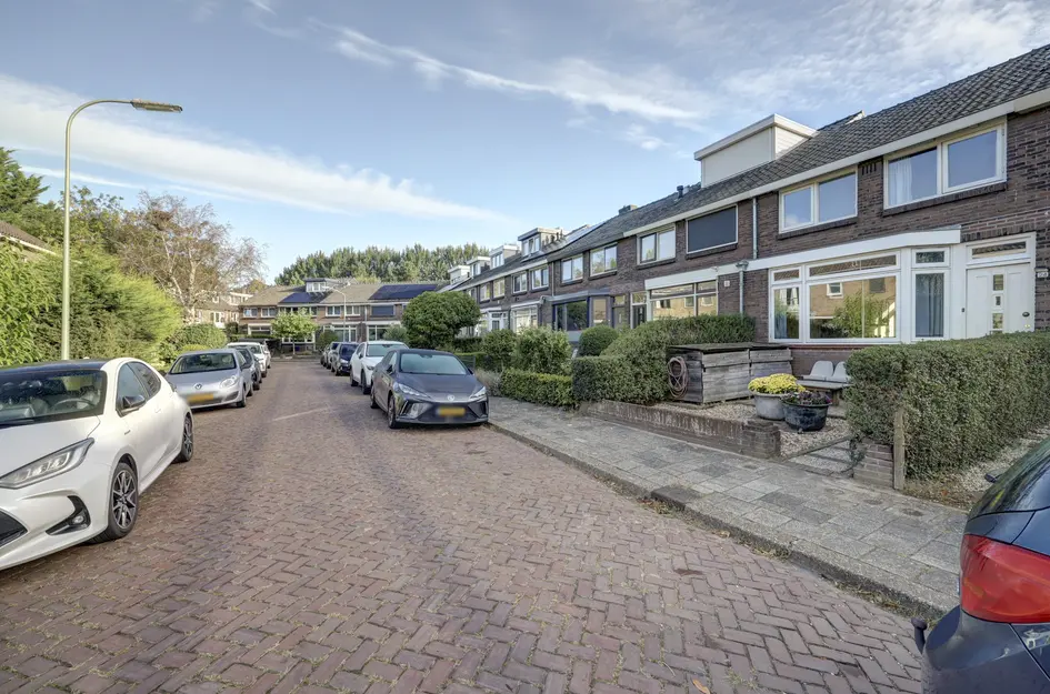Van Manderstraat 24