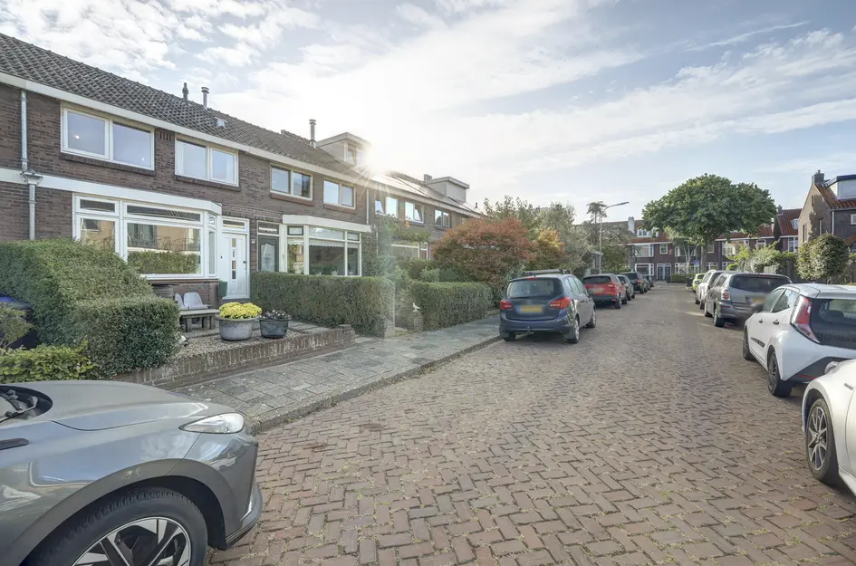 Van Manderstraat 24