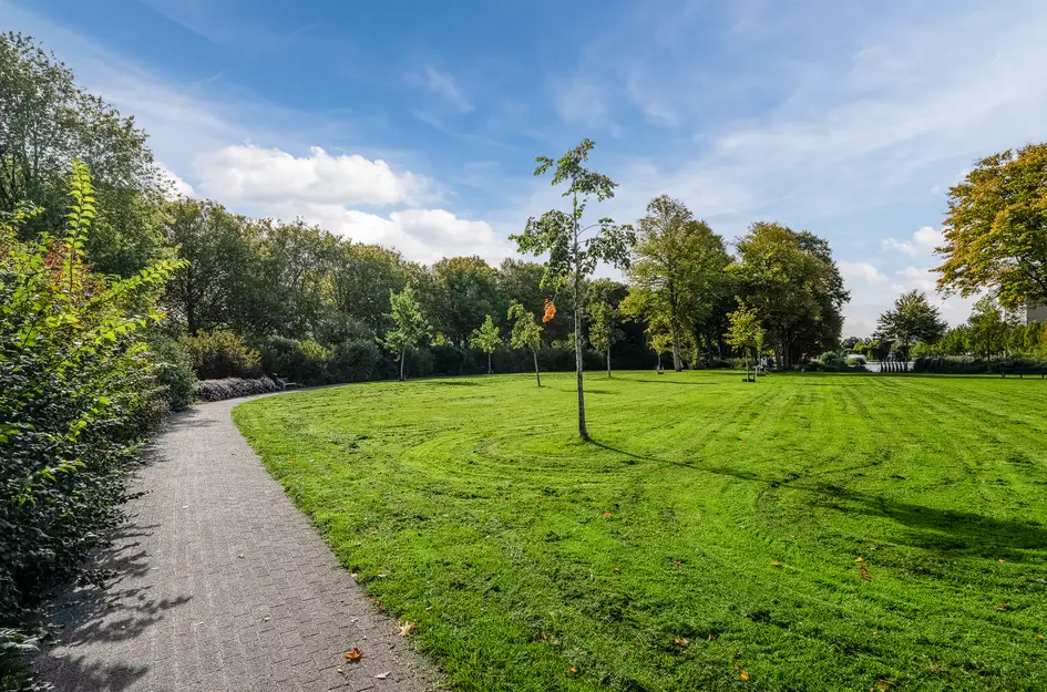 P.J.M. Aalbersestraat 84