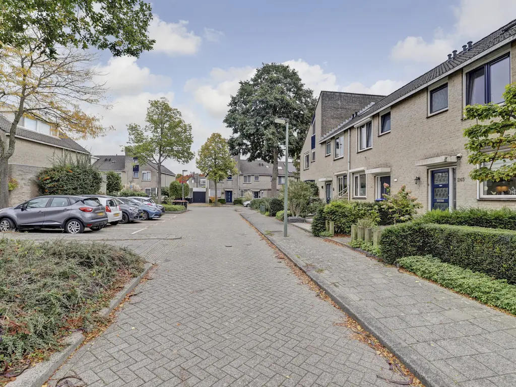Bakema-erf 245, DORDRECHT