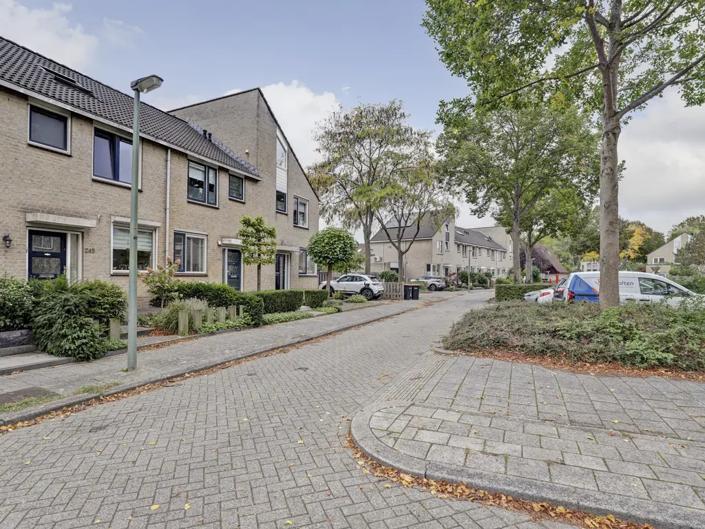 Bakema-erf 245, DORDRECHT