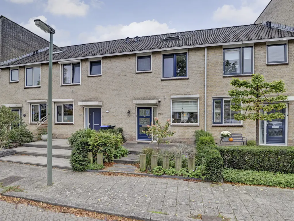 Bakema-erf 245, DORDRECHT