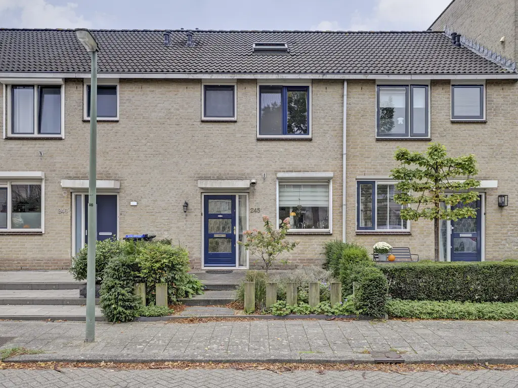Bakema-erf 245, DORDRECHT