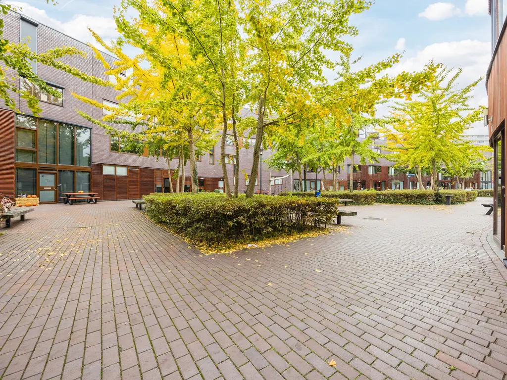 Kokardebloem 36, PAPENDRECHT