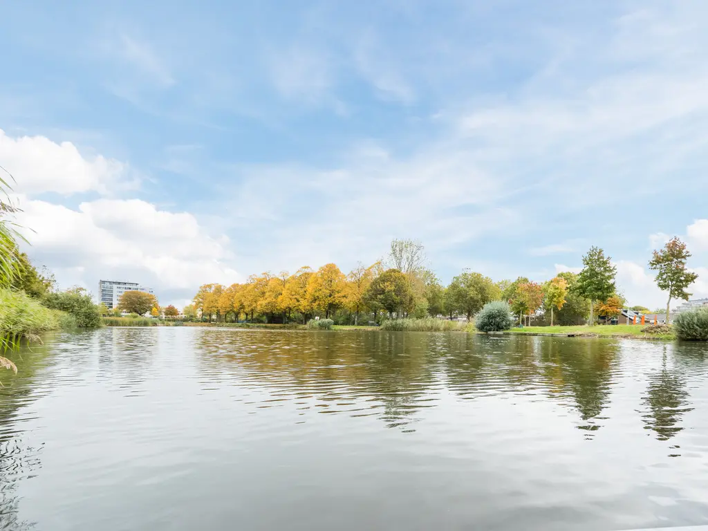 Kokardebloem 36, PAPENDRECHT