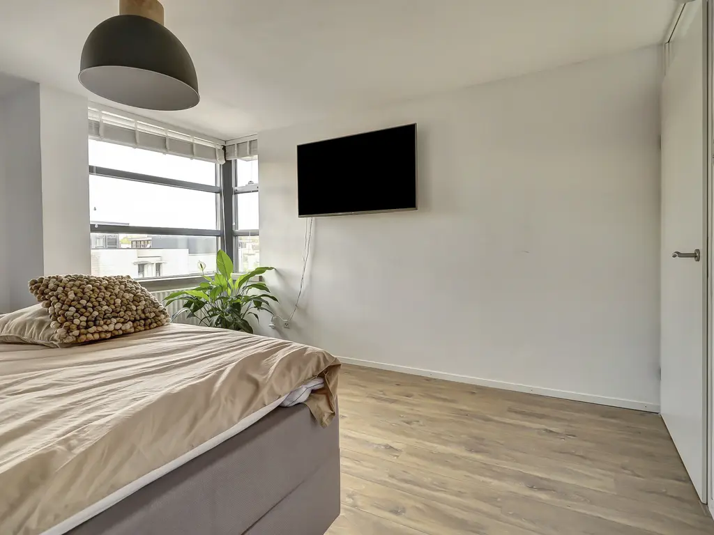 Branco 19, DORDRECHT