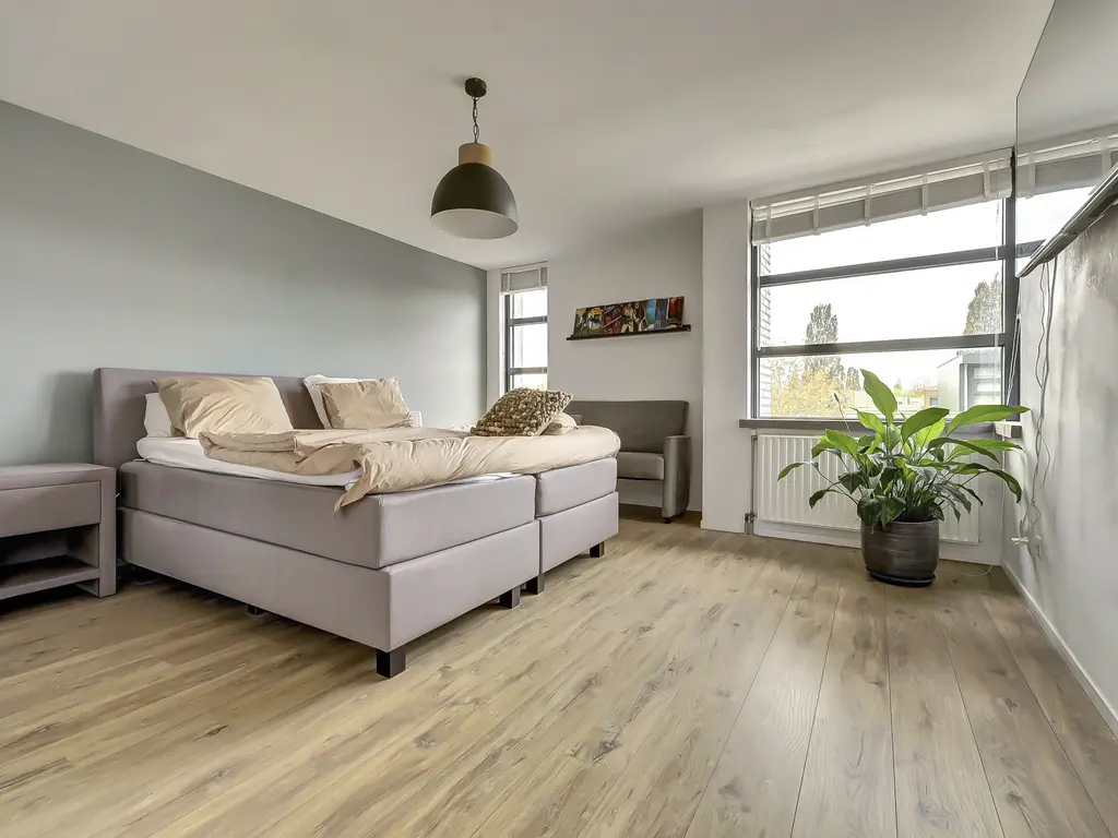 Branco 19, DORDRECHT