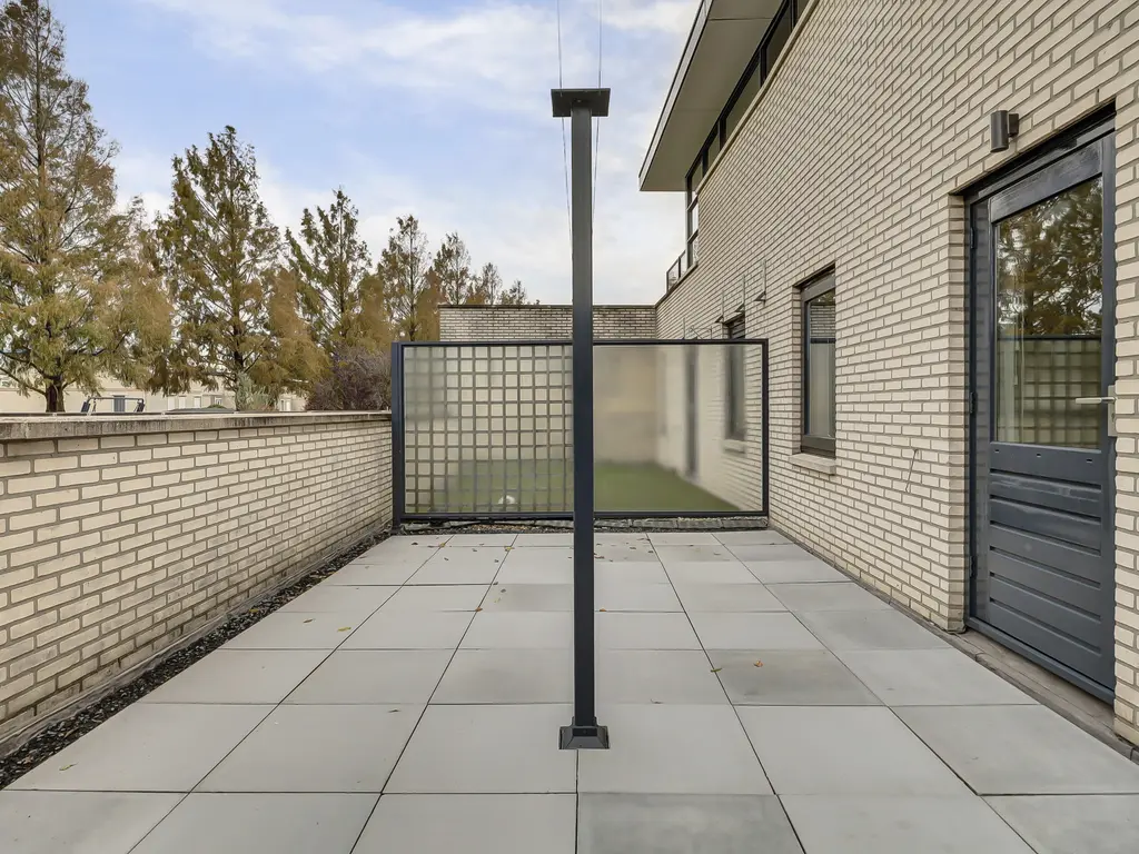 Branco 19, DORDRECHT