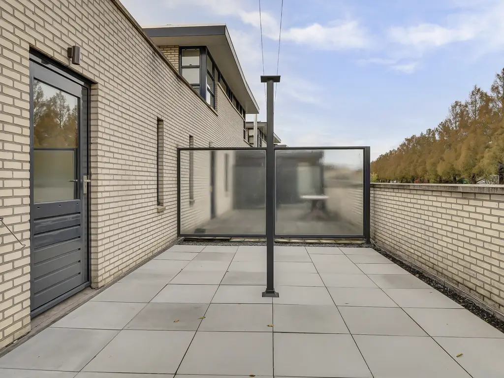 Branco 19, DORDRECHT