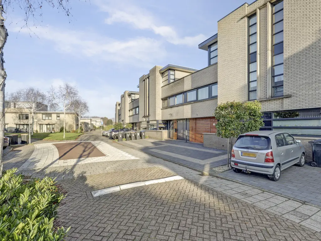 Branco 19, DORDRECHT