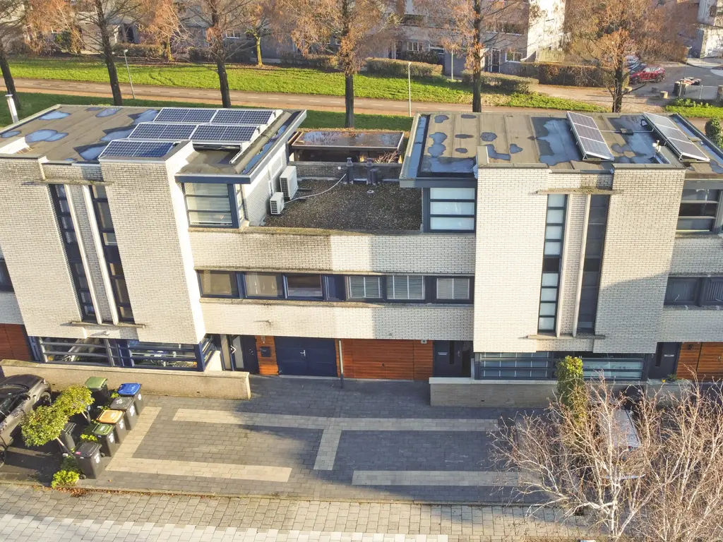 Branco 19, DORDRECHT