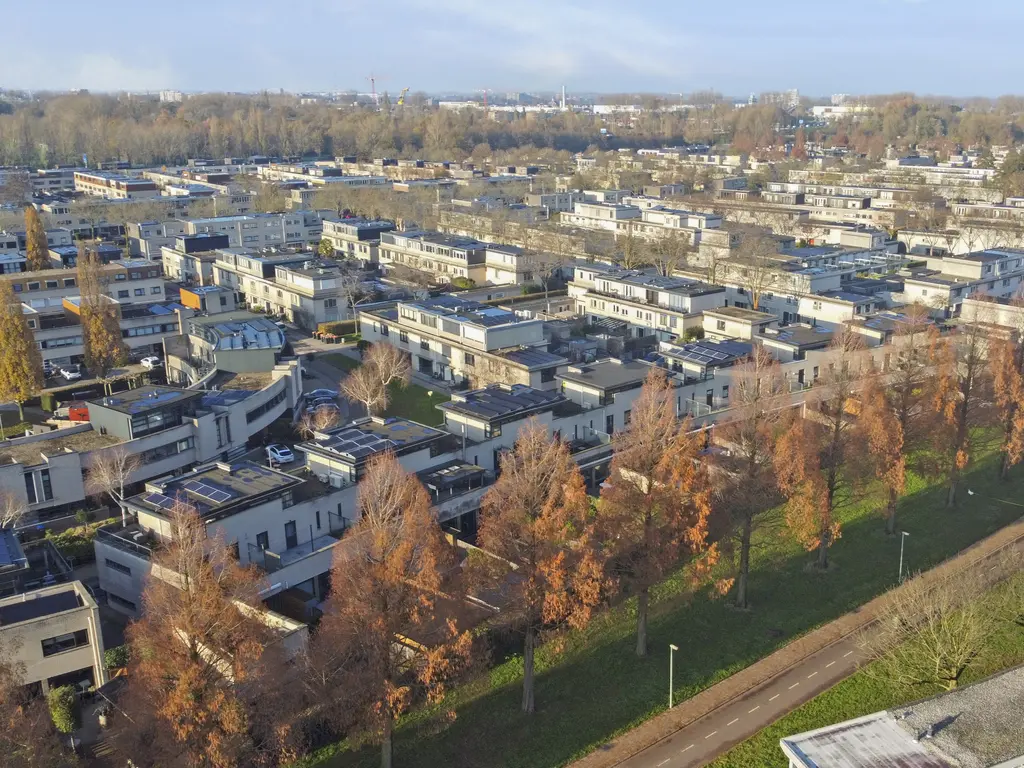 Branco 19, DORDRECHT