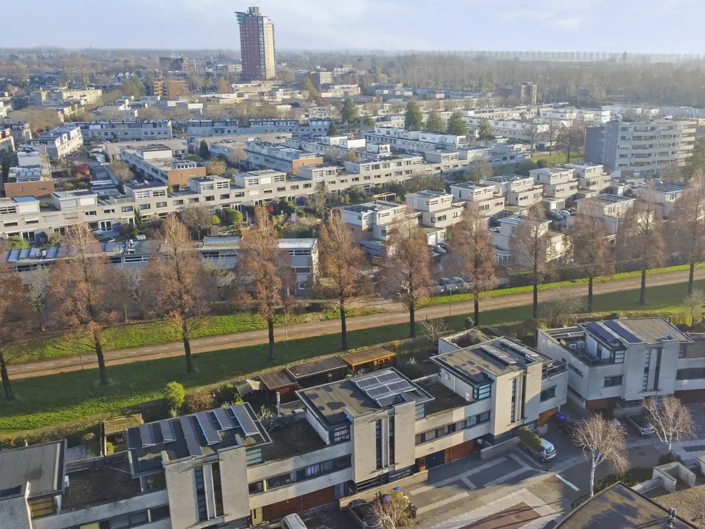 Branco 19, DORDRECHT