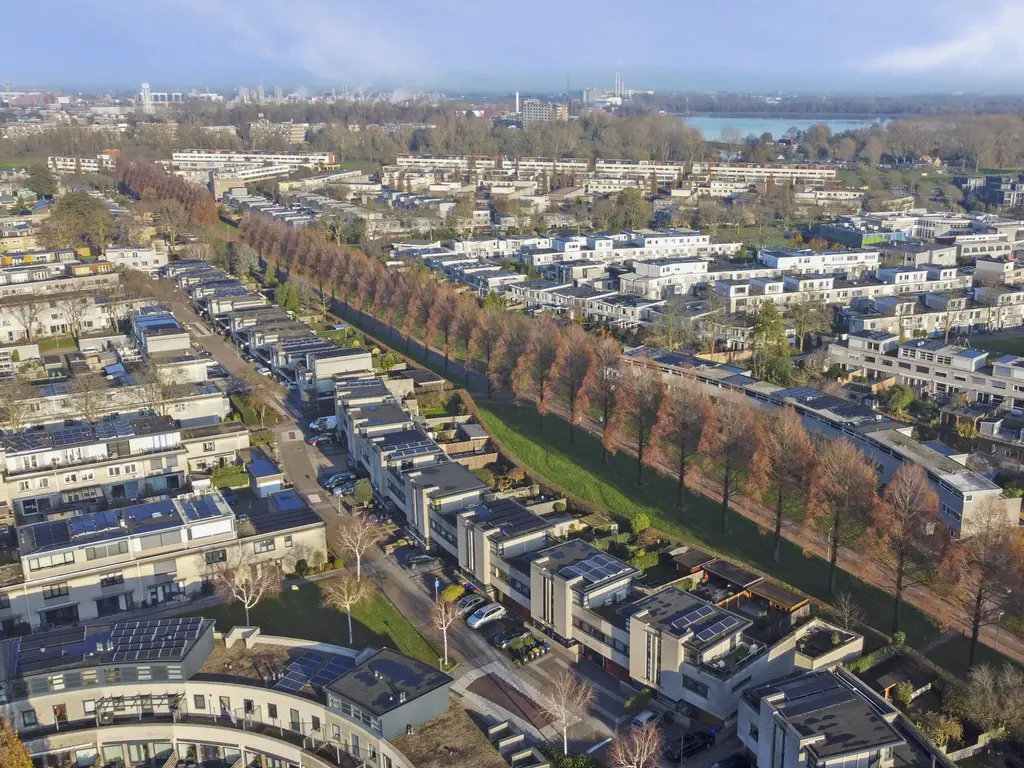 Branco 19, DORDRECHT