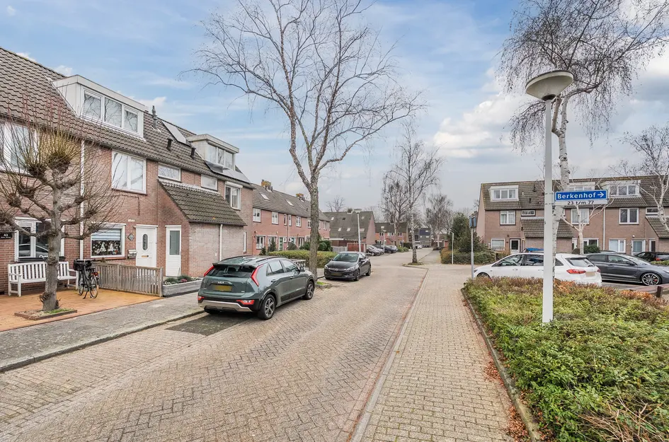 Berkenhof 38