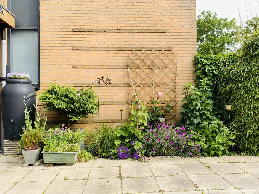 Zwanebloem 4, HENDRIK-IDO-AMBACHT