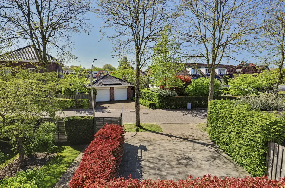 Zwanebloem 4