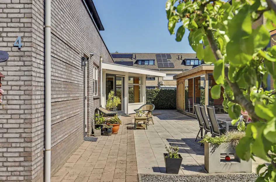 Zwanebloem 4