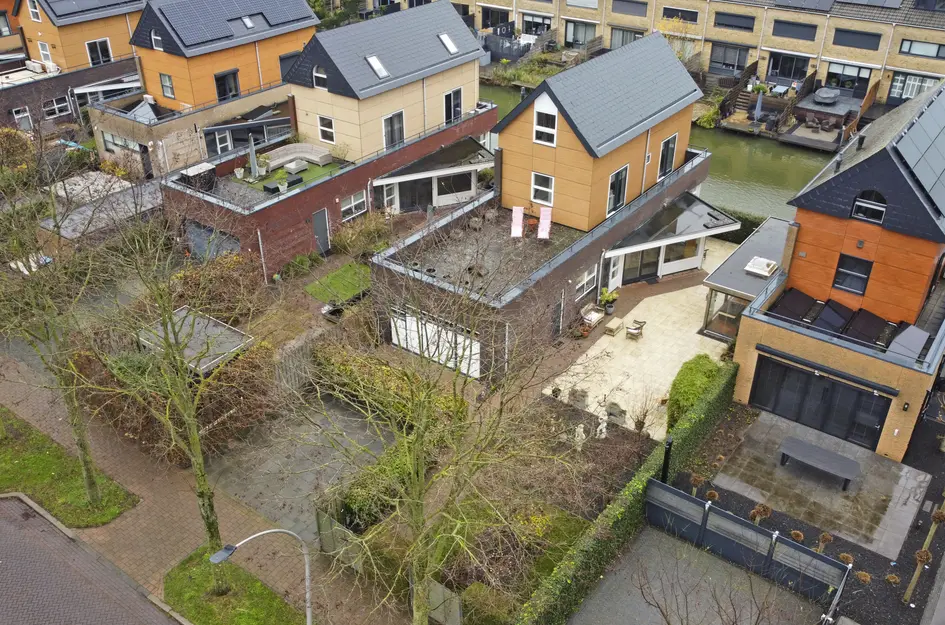 Zwanebloem 4