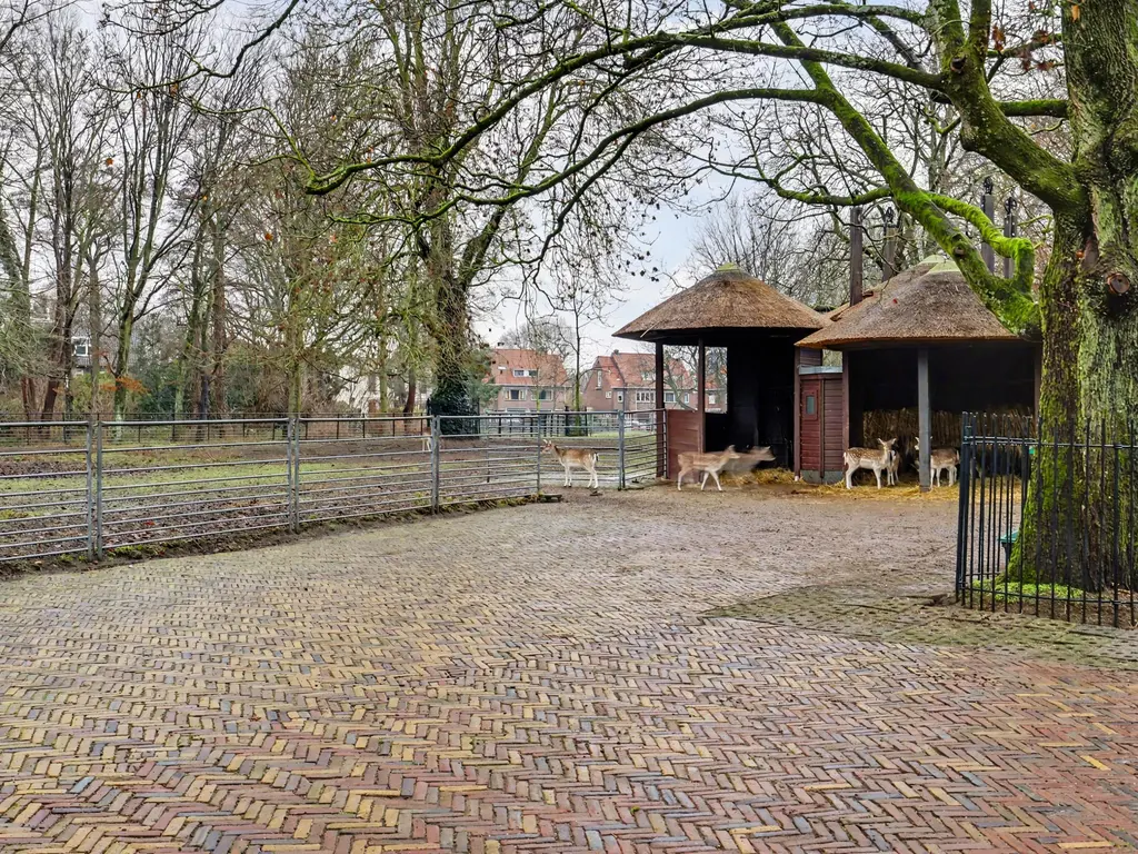 Bekkershof 6, DORDRECHT
