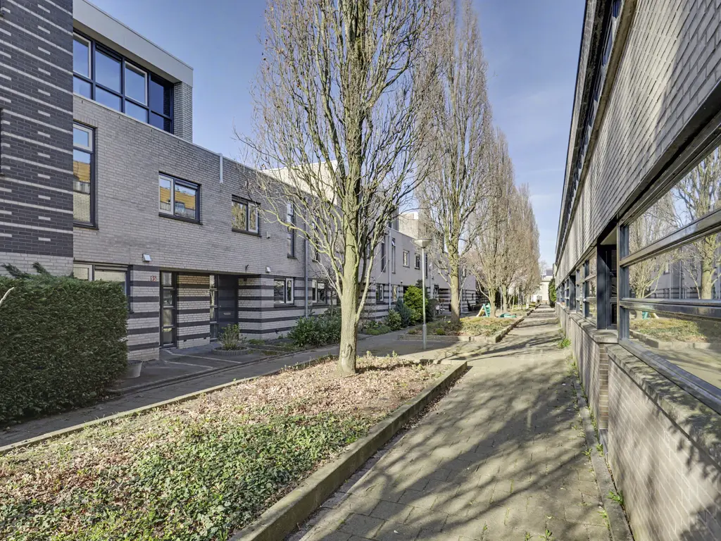 Branco 95, DORDRECHT