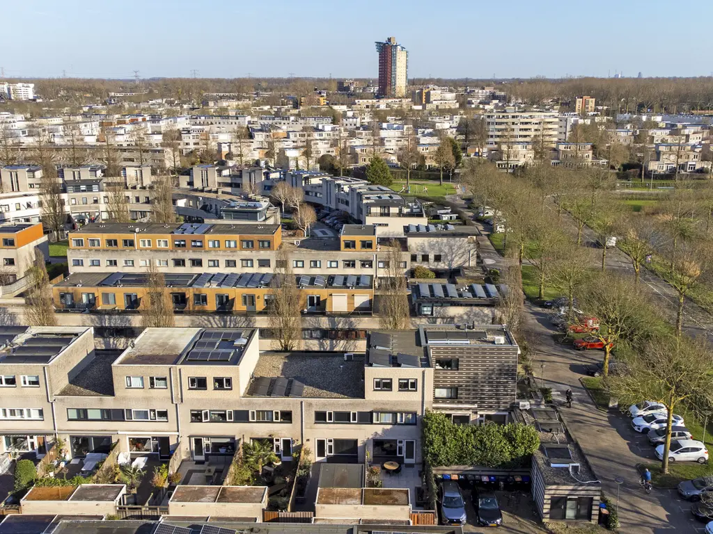 Branco 95, DORDRECHT