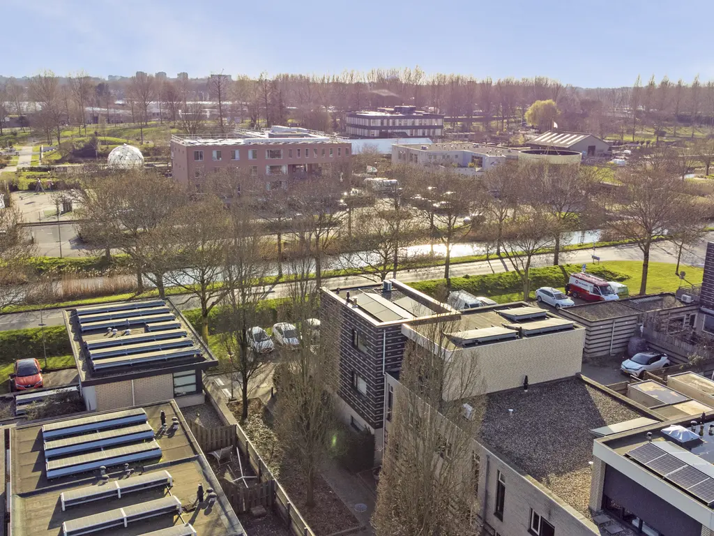 Branco 95, DORDRECHT