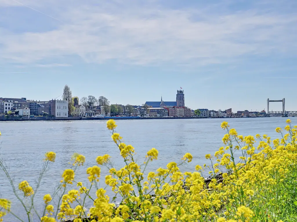 Delta 3, ZWIJNDRECHT