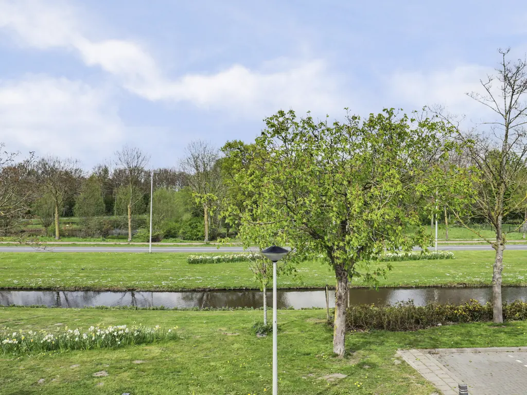 Abdij 20, ZWIJNDRECHT