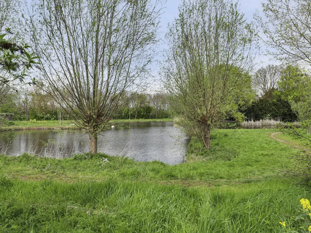 Abdij 20, ZWIJNDRECHT