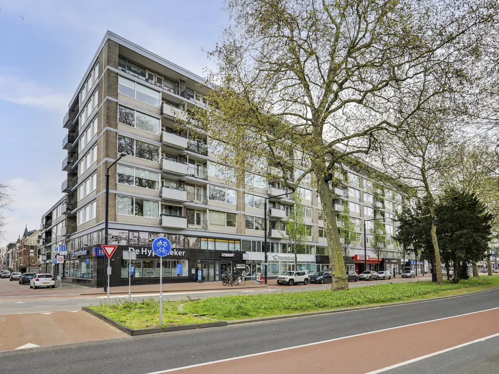 Johan de Wittstraat 218, DORDRECHT