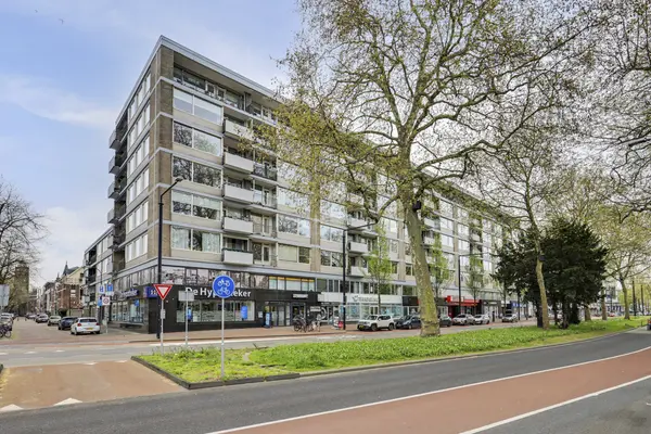 Johan de Wittstraat 218