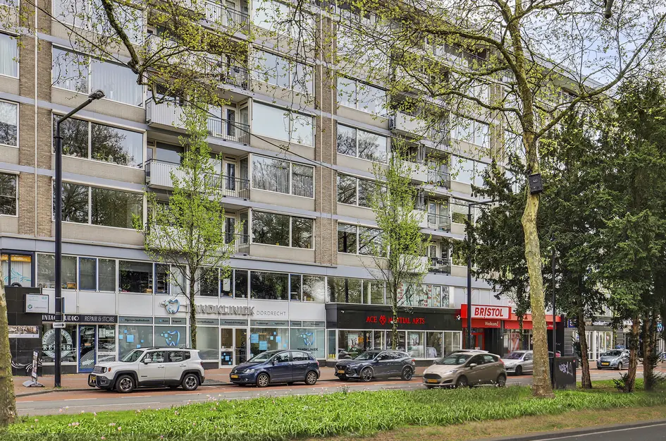 Johan de Wittstraat 218