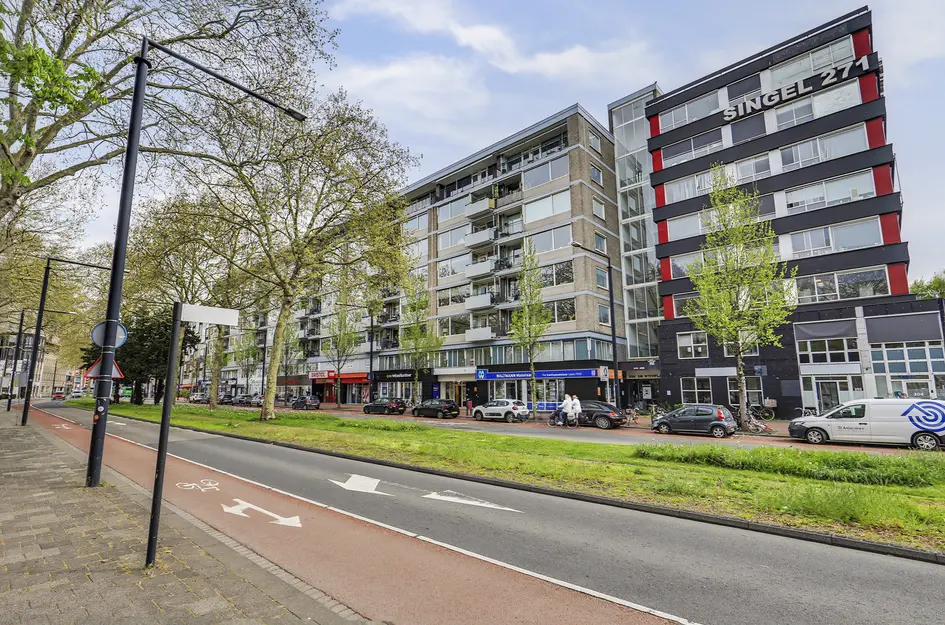 Johan de Wittstraat 218