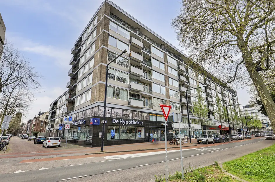 Johan de Wittstraat 218