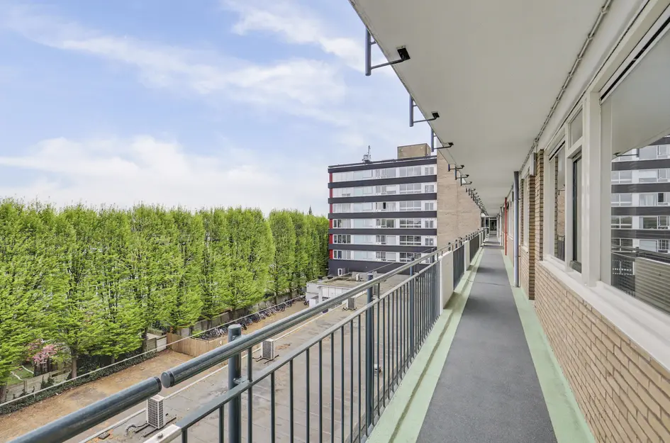 Johan de Wittstraat 218