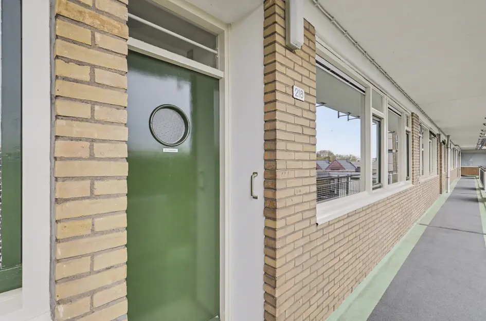 Johan de Wittstraat 218