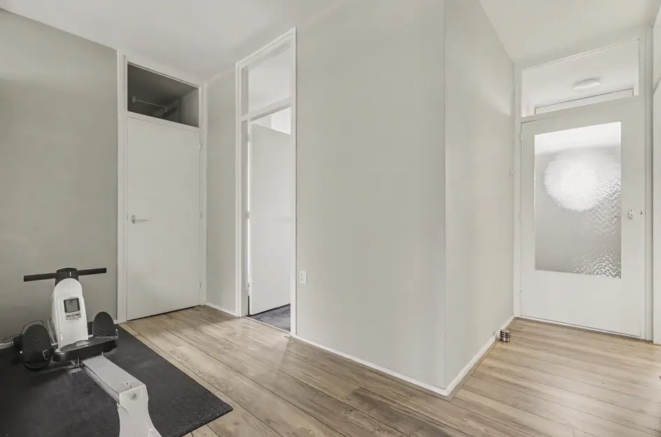 Johan de Wittstraat 218