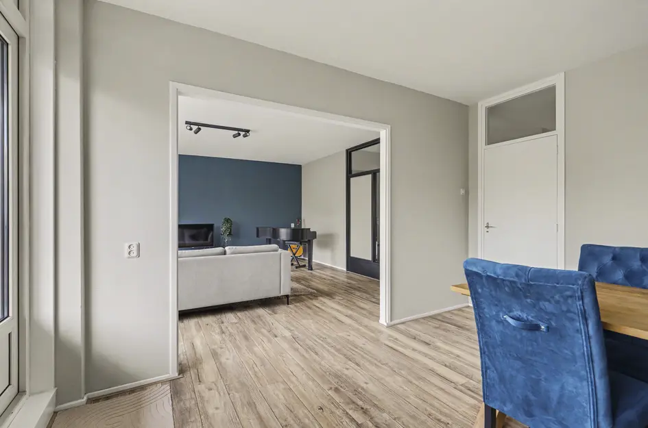 Johan de Wittstraat 218