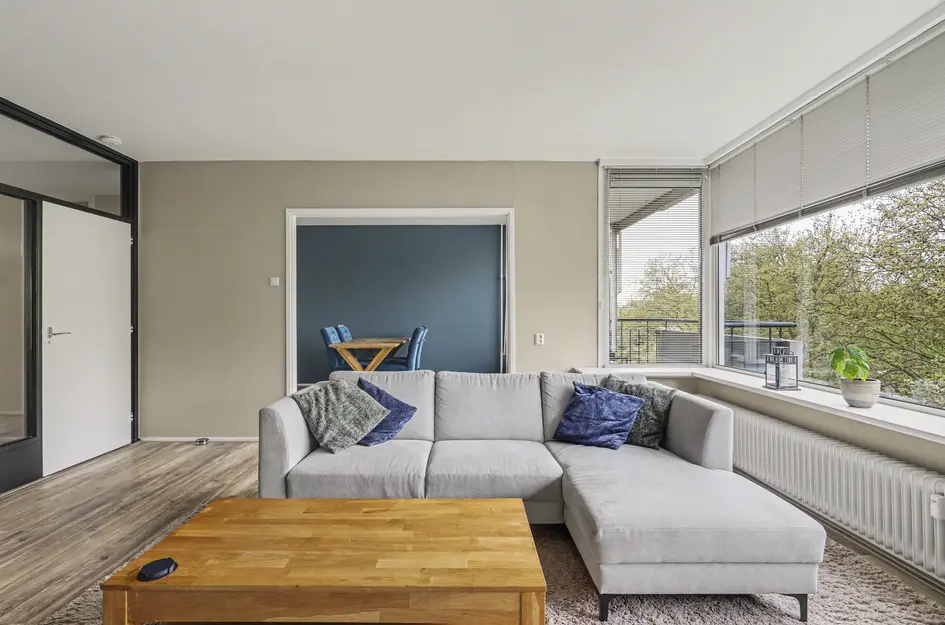 Johan de Wittstraat 218