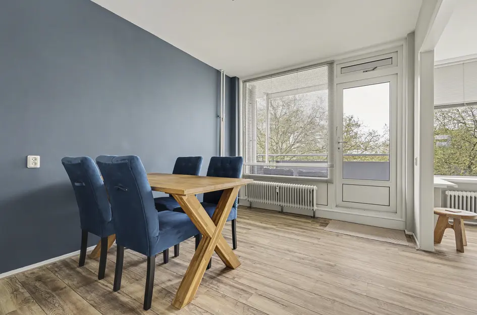 Johan de Wittstraat 218