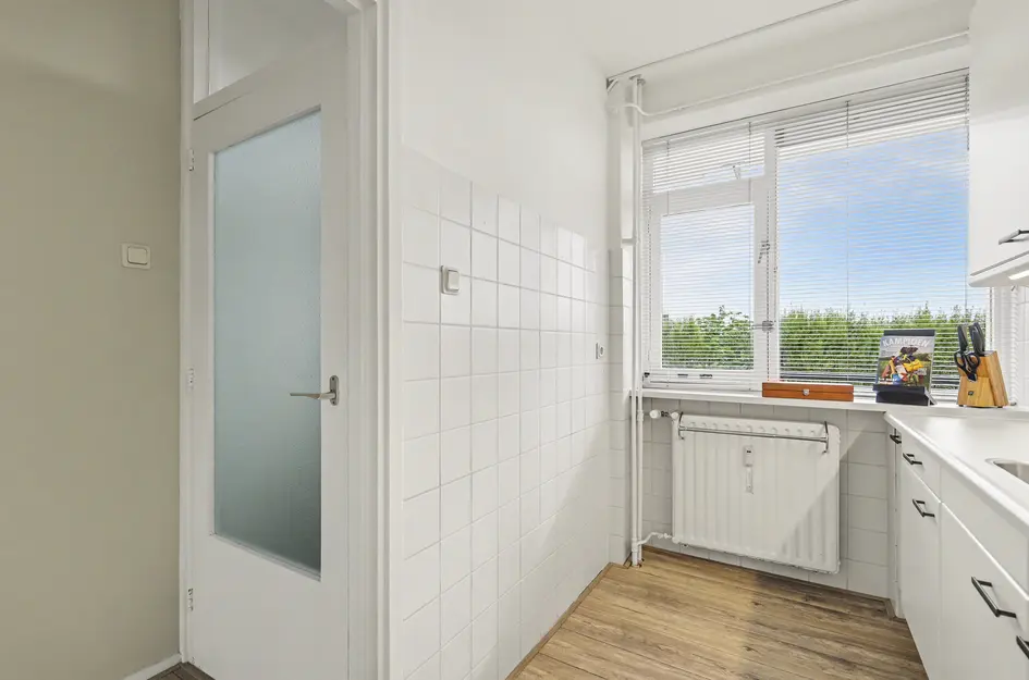 Johan de Wittstraat 218