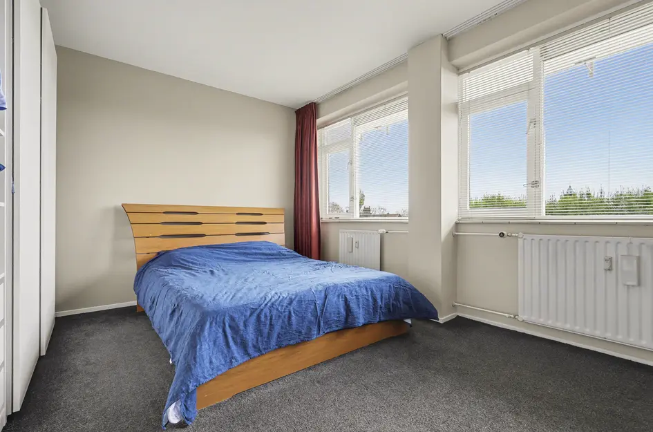 Johan de Wittstraat 218